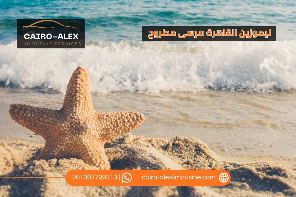 ليموزين القاهرة مرسى مطروح